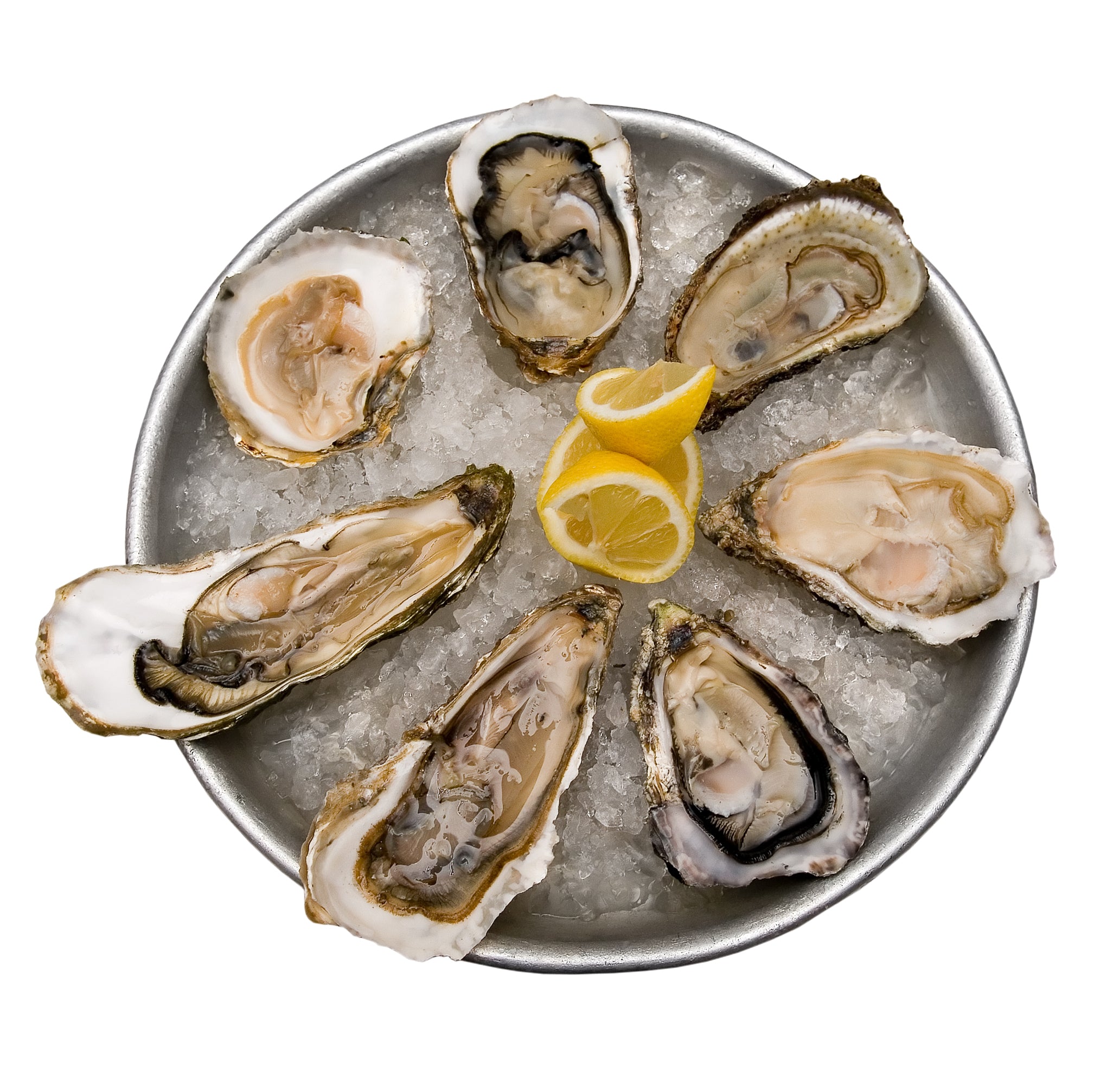 Oysters
